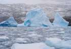 Landscape in the Cierva Cove at the Danco Coast of the Graham Land in the Antarctic Peninsula. Art Print